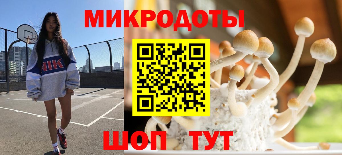 Галлюциногенные грибы MAGIC MUSHROOMS Гуково